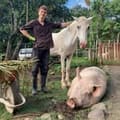 nat, United Kingdom Vegan & Plant-Based influencer