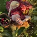 𝓔𝓶𝓲𝓵𝔂 𝓓𝓪𝓿𝓲𝓼𝓸𝓷, United Kingdom Afternoon Tea influencer