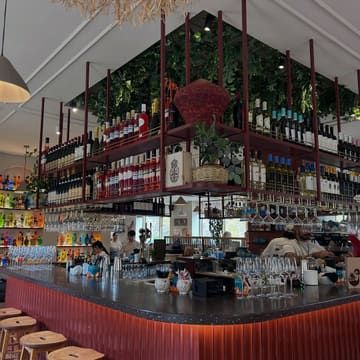 A wide-angle interior shot of the bar area at Domo in Leeds, showcasing the restaurant's decor, including a prominent overhead bottle display, hanging greenery, and a warm, inviting atmosphere. The image captures the bar counter, seating, and the general layout of the venue, providing a clear sense of the space.