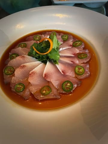 A high-angle, close-up shot of the signature Yellowtail Jalapeño dish at Nobu. The raw fish is arranged in a precise circular pattern on a large white plate, garnished with fresh cilantro and jalapeño slices, resting in a soy-based sauce.