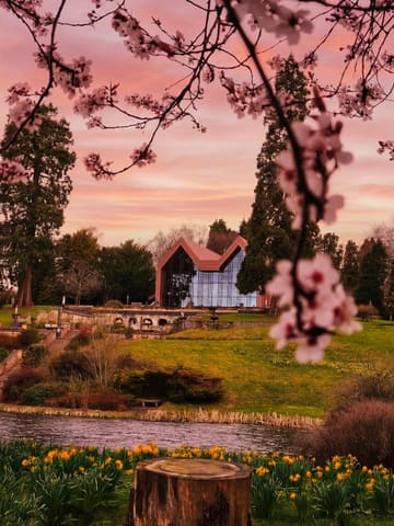 A picturesque, high-quality landscape shot of The Tawny Hotel in Staffordshire, framed by cherry blossom branches during sunset. The image captures the serene, upscale nature of the venue, highlighting its integration with the surrounding countryside and water features.