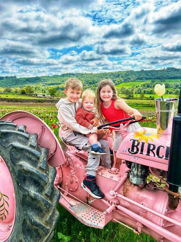 A bright, high-quality photograph of three children sitting on a pink tractor at a farm attraction, capturing a wholesome family day out.