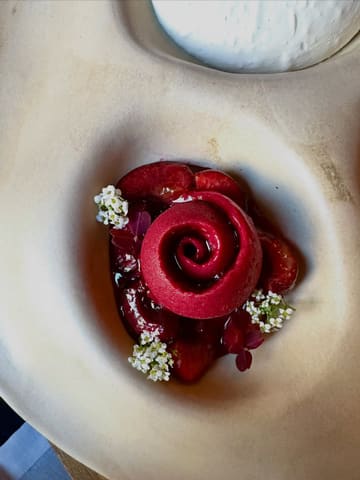 A high-end, top-down shot of a signature baba dessert with cherry sorbet, presented on an artistic, textured ceramic plate. The composition is clean and professional, highlighting the vibrant colours of the dish against a neutral background.