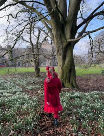 A photograph of a child in a red coat walking through a woodland area filled with snowdrops, with a large tree and a historic building in the background.