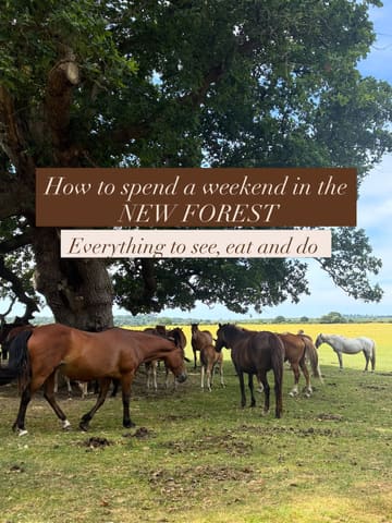 A travel-focused landscape image featuring a herd of horses in the New Forest, used as a cover for a weekend guide. The image is clean and well-composed, serving as an atmospheric hook for a travel itinerary.