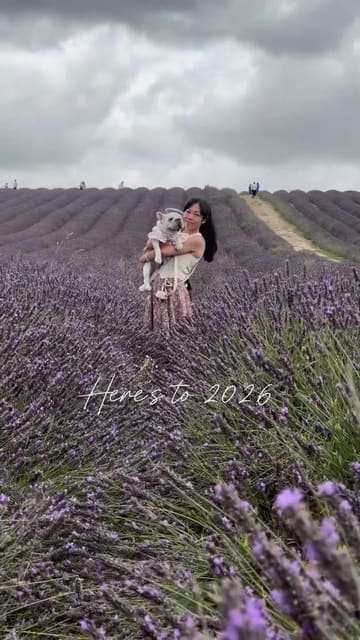 A montage video recapping a year of experiences, featuring a woman and her dog visiting various luxury hotels, restaurants, and events in the UK. The video focuses on the dog-friendly nature of these venues, showcasing interiors, afternoon tea, and various outings.