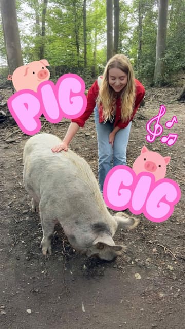 The video is a montage of a 'Pig Gig' festival held at an animal sanctuary called Pigs in the Woods. It features footage of free-roaming pigs, live music performances, attendees enjoying the outdoor setting, and various vegan food options like hot dogs, nachos, and cupcakes. The tone is lighthearted and wholesome, focusing on the interaction between visitors and the animals.