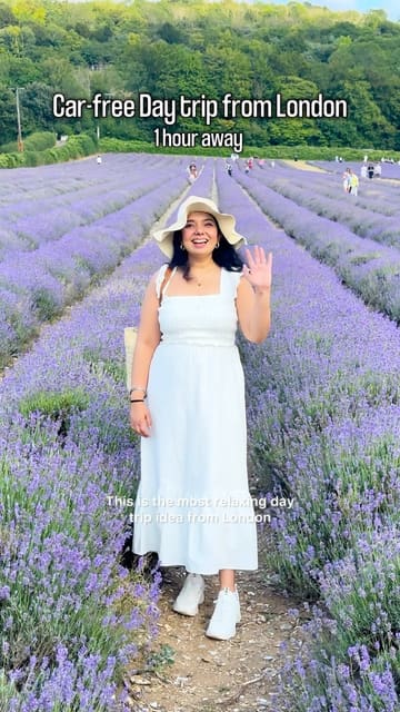 A travel vlog showcasing a day trip to Castle Farm lavender fields, detailing the journey from London via train and the experience of walking through the fields and seeing the countryside.