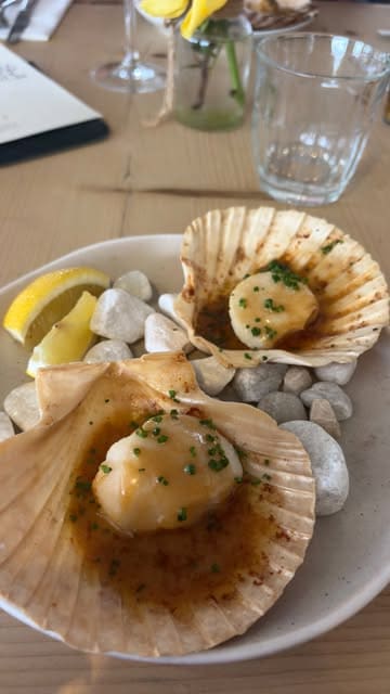 A montage showcasing a dining experience at Shell Bay restaurant, featuring close-ups of seafood dishes like scallops and sea bream, wine service, the restaurant's interior, and the scenic waterfront views.