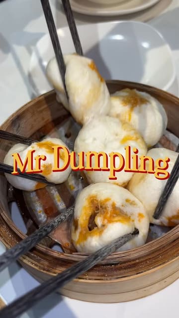 A fast-paced, enthusiastic food vlog featuring a visit to Mr. Dumpling. The creator samples a variety of dishes, including steamed dumplings, noodle soup, and pan-fried dumplings, highlighting the flavors and textures throughout. The video includes behind-the-scenes shots of the kitchen and clear, appetizing close-ups of the food.