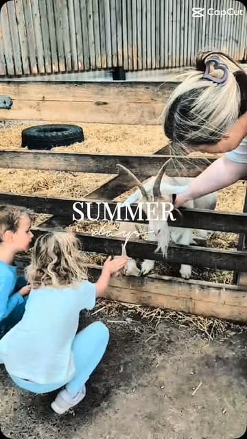 A montage of family activities at Whitehouse Farm, featuring animal interactions, go-karting, and soft play areas.