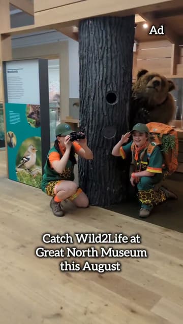 A promotional video for the 'Wild 2 Life' event at the Great North Museum, featuring performers in safari gear interacting with realistic animal puppets to showcase the interactive performance and meet-and-greet experience for families.