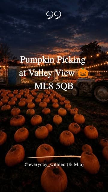 A family-oriented video showcasing a visit to a pumpkin patch, featuring pumpkin picking, seasonal decorations, a fire pit for toasting marshmallows, and character appearances.