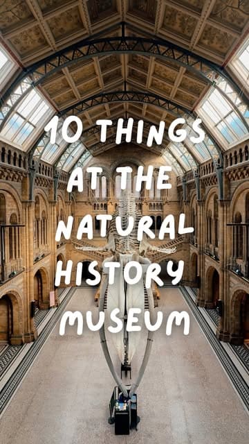 A dynamic listicle-style vlog showcasing 10 must-see highlights at the Natural History Museum in London, including the iconic whale skeleton, earthquake simulator, and various historical exhibits.