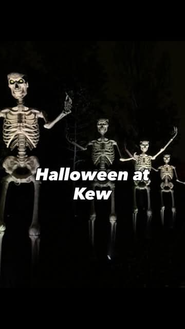 A montage showcasing the illuminated Halloween trail at Kew Gardens, featuring spooky light displays, fire performers, and themed characters.