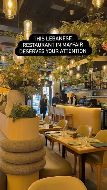 A short promotional video showcasing the interior and menu of Grilandia, a Lebanese restaurant in Mayfair, featuring shots of various dishes including grilled fish, steak, and baklava.