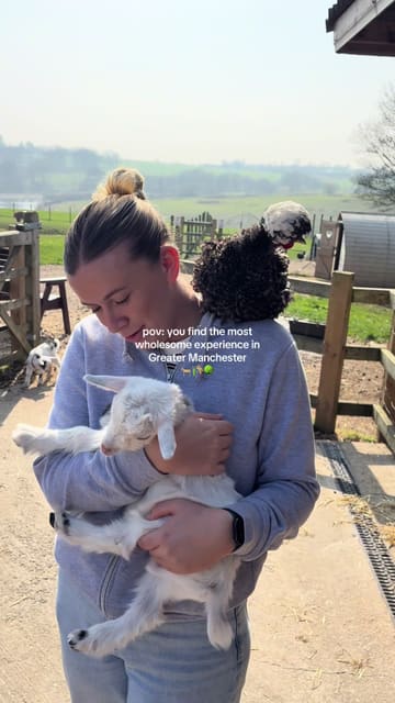A wholesome, vlog-style video showcasing a farm experience in Greater Manchester, featuring alpaca walking and goat interaction.