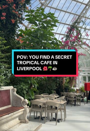 A creator visits a cafe located inside the Palm House in Sefton Park, Liverpool, showcasing the tropical, glasshouse setting and the available coffee and pastry options.