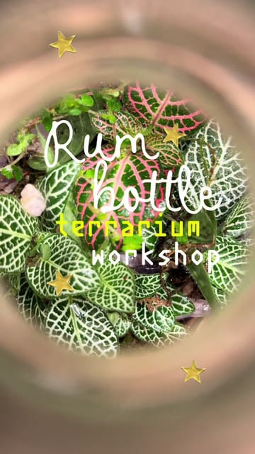 The video features a creator attending a terrarium workshop at Rhum Tavern in London, hosted in collaboration with Kraken Rum. The reel documents the process of building a terrarium inside a rum bottle while enjoying cocktails, highlighting the unique and creative nature of the activity.