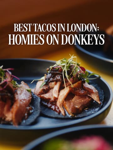 A professional, documentary-style review of Homies on Donkeys in Leytonstone, featuring an interview with the owner about the challenges of the hospitality industry and showcasing their high-quality, affordable Mexican tacos.