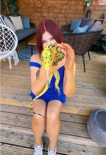 The video features a creator introducing various exotic animals, including snakes, lizards, tortoises, lemurs, and a tarantula, as part of a mobile zoo service called Jurassic Ark Encounters based in Northern Ireland. The creator holds and interacts with each animal, providing a fun and educational tour of the creatures available for booking.