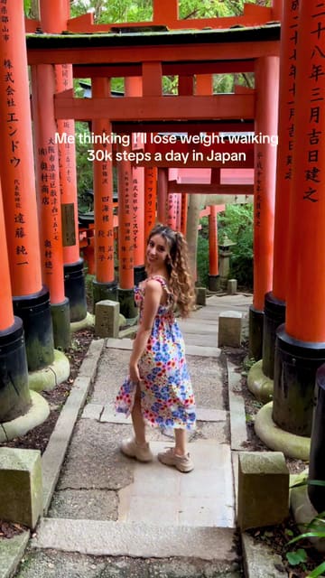 A travel-focused food vlog featuring a creator exploring Japan and sampling various local dishes, including ramen, katsu sandwiches, mochi, and onigiri, framed by the humorous realization that walking 30k steps a day does not offset the calorie intake.