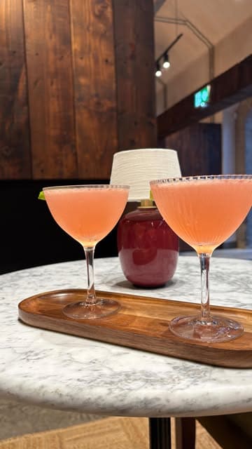 A 'come with me' style vlog showcasing a visit to the Blackwoods gin distillery in Inverkip, featuring a tour of the production area, a gin tasting session, and cocktails at their bar.