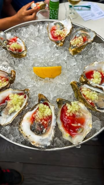 A promotional reel for The Finnieston featuring a new menu launch, focusing on a variety of oysters with unique toppings and signature cocktails. The video includes shots of the food preparation, the finished dishes, and the drinks, along with commentary from the staff.