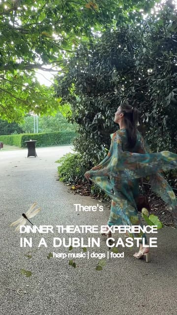A vlog-style reel documenting an immersive dinner theatre experience at Malahide Castle, featuring a castle tour, live harp music, and Irish Wolfhounds.