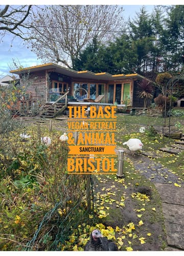 A personal vlog-style tour of The Base Vegan Retreat and Animal Sanctuary in Bristol, highlighting the cozy cabin accommodation, the opportunity to interact with rescued animals, and the available amenities like the outdoor spa and afternoon tea service.