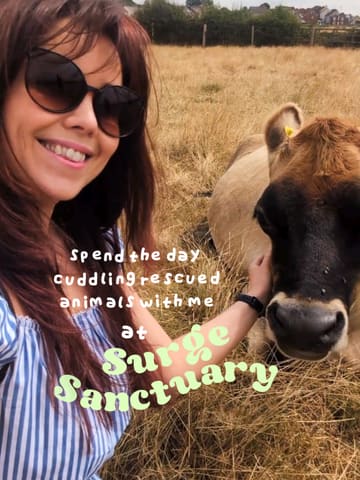 A vlog-style video documenting a visit to Surge Sanctuary, featuring interactions with rescued farm animals like cows, pigs, sheep, and turkeys, followed by a meal from the vegan food truck Unity Doner.