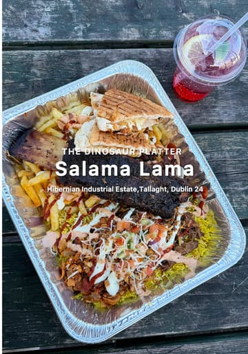 A review of the 'Dinosaur Platter' from Salama Lama, a street food vendor in Dublin. The video showcases the food truck, the menu, and the large, meat-heavy platter featuring slow-cooked ribs, fries, rice, and doner chicken.