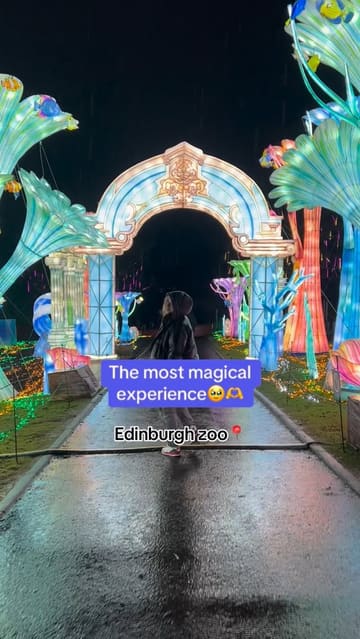 A montage video showcasing the various illuminated light installations at Edinburgh Zoo, capturing the magical atmosphere of the event.