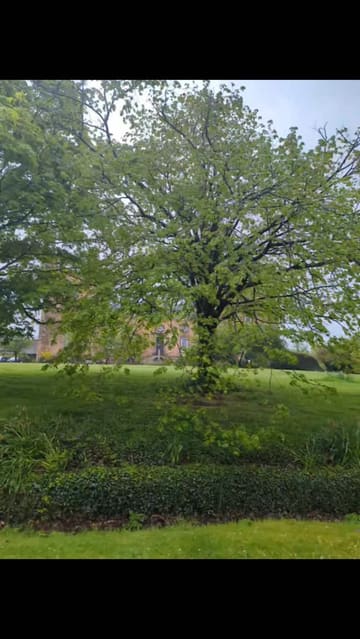 A detailed tour of Lumley Castle, highlighting its historic architecture, luxurious rooms, and dining options. The video provides a walkthrough of the property, including the restaurant and bedroom, while sharing some of the castle's ghost stories.