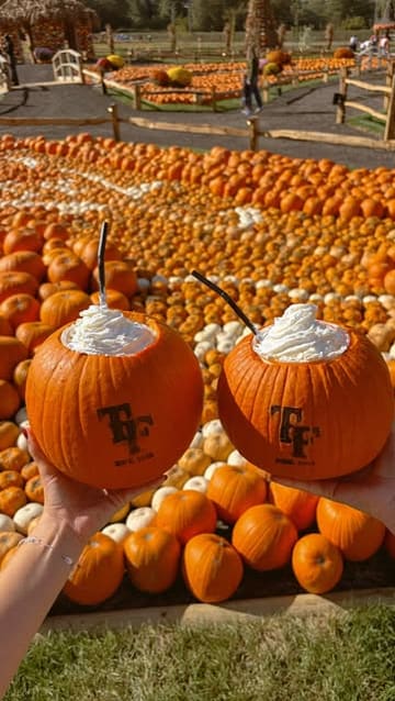 A short, upbeat vlog showcasing a visit to Tulley's Farm during the autumn season, featuring pumpkin displays and seasonal drinks.