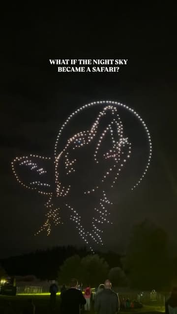 A montage of clips showcasing a drone light show event, where hundreds of drones form various shapes in the night sky, such as animals and aliens.