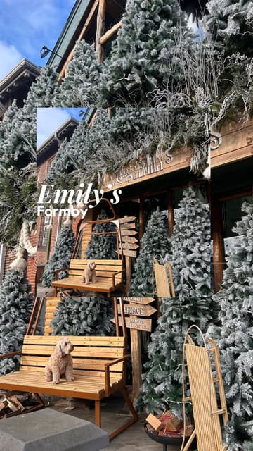 A promotional reel for Emily's in Formby, showcasing the venue's botanical interior, breakfast and brunch menu, and dog-friendly atmosphere. The video features a montage of shots including the bar, dining area, food, drinks, and a dog, set to music.