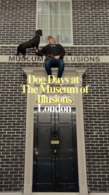 A promotional reel showcasing a visit to the Museum of Illusions in London during their 'Dog Days' event, highlighting the interactive exhibits and the dog-friendly policy.