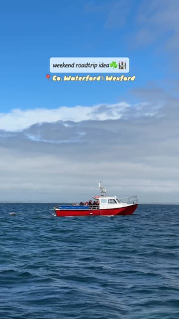 A travel itinerary reel showcasing a road trip through County Waterford and Wexford, Ireland, featuring scenic spots like Saltee Island, Johnstown Castle, Hook Lighthouse, and various local cafes and restaurants.