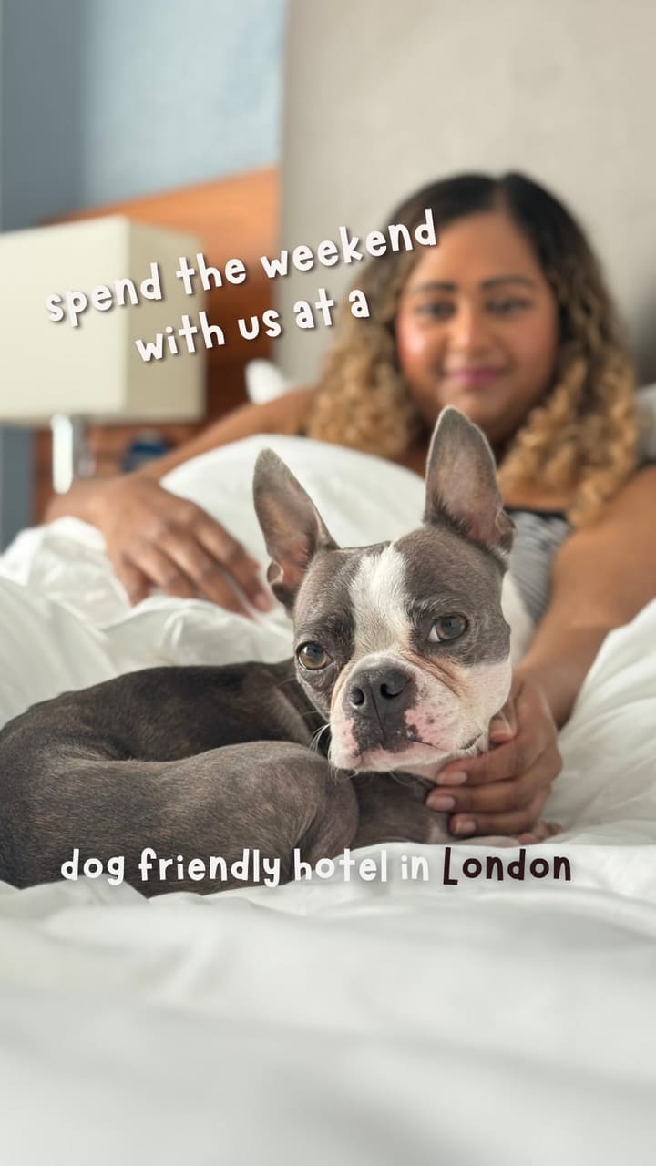 A vlog-style video documenting a weekend staycation at a dog-friendly hotel in London, The Cumberland. The video shows the creator and her dog arriving and exploring the hotel room, which features personalized welcome amenities for the dog, including a drawing on the mirror, a welcome pack with treats, toys, a bed, and a doggy menu. It also showcases the hotel's 'Backstage Lounge' with complimentary drinks and snacks. The creator and her partner are shown going out for dinner at a Chinese restaurant and walking through London at night. The following morning, the dog has breakfast from the doggy menu, and the creators enjoy the hotel's buffet breakfast, which includes pastries, a full English breakfast, and a freshly made omelet. The video concludes with a walk in the nearby Hyde Park.