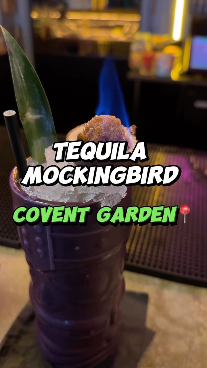 The video showcases the Tequila Mockingbird bar in Covent Garden, London.  It focuses primarily on the preparation and presentation of two cocktails: the Tequila Mockingbird and the Caribbean Sailor.  Both cocktails feature rum and pineapple, with the Mockingbird having a more visually striking presentation that includes a flambéed passion fruit. The video also briefly shows the bar's interior and the bartender's skillful cocktail making techniques.