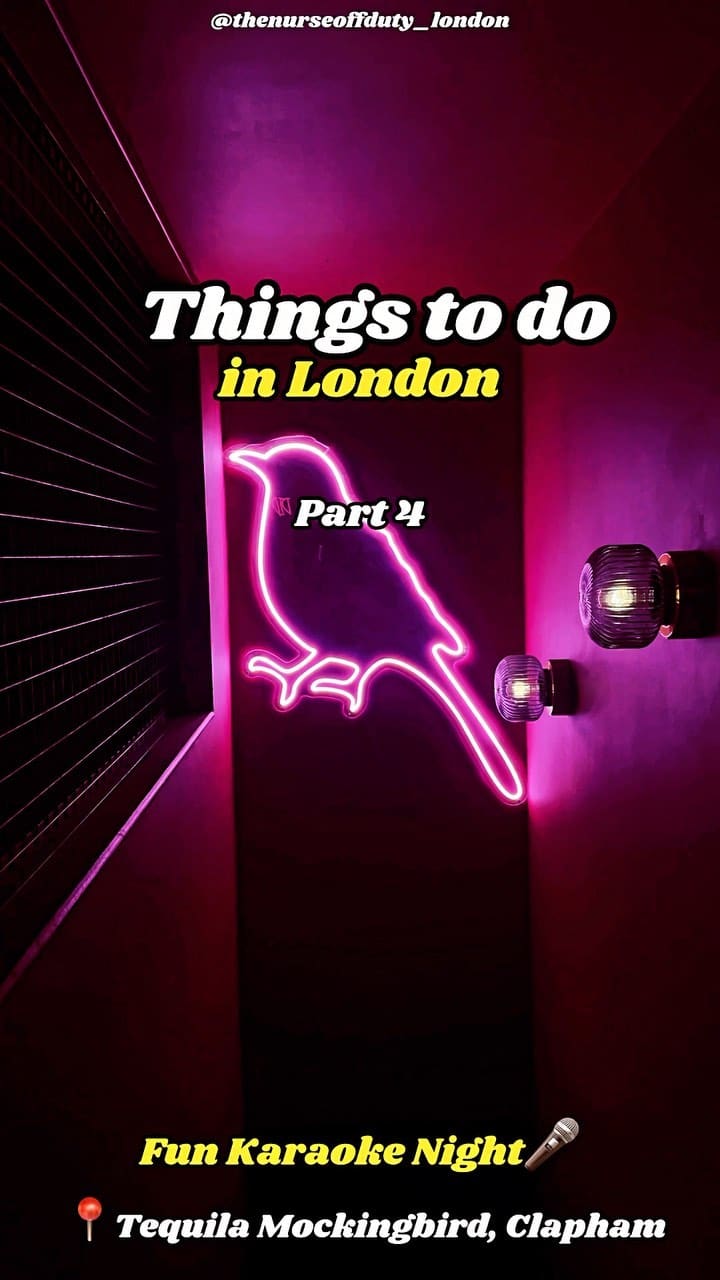 The video showcases a karaoke night at Tequila Mockingbird in Clapham, London.  It highlights the private karaoke rooms with their own bars, showcasing various cocktails and a group of friends enjoying themselves. The video also shows examples of food being brought in by the customers. The main focus is on the fun and social experience of the karaoke night.